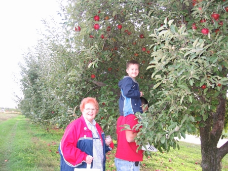 Picking apples-October 2006