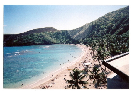 sea life park,hawaii