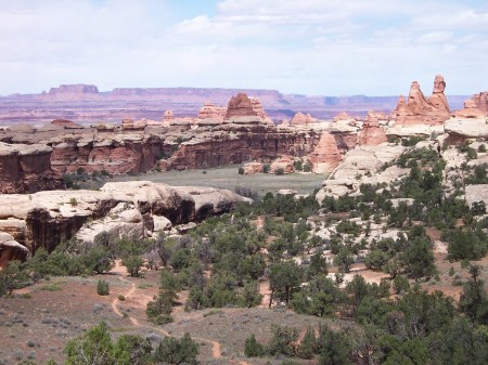 Needles District