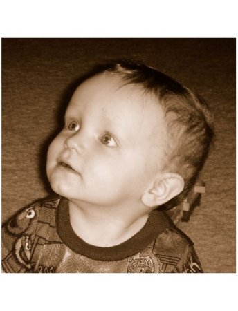 Rylan - at 1 Year Old