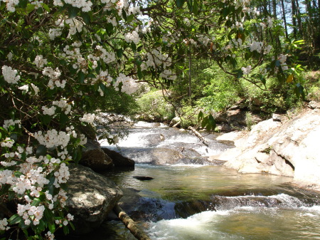 Hiking on 5-21-07. North Georgia Mountains