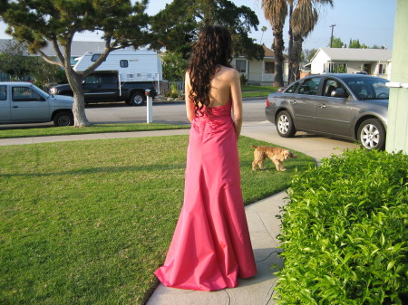 Prom Dress 2006