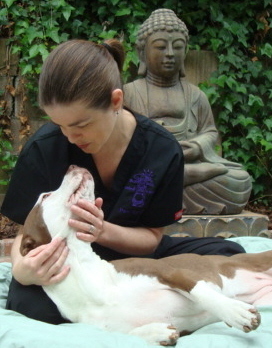 Pam Holt's album, BUDDHA DOG Animal Massage- BUDDHADOG.com