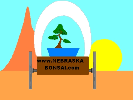NebraskaBonsai.com