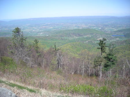 View of The Valley