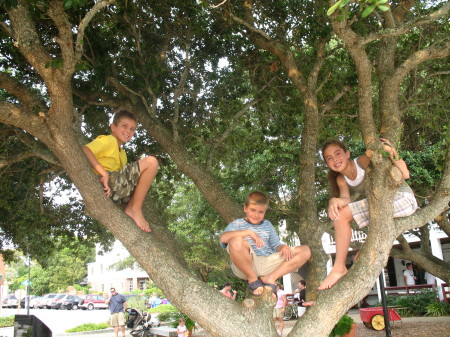 Three of my kids up a tree