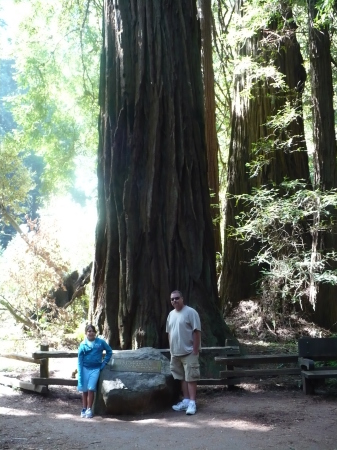 Hiking Muir Woods