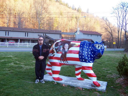 Cherokee Native vet bear