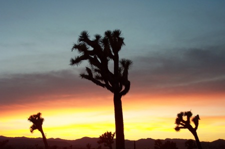 Sunset in Yucca Valley Ca.