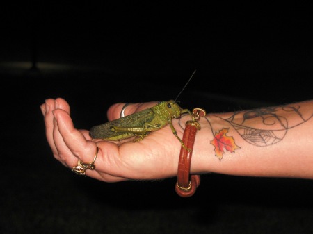 Playing with the locals, Mexico 07