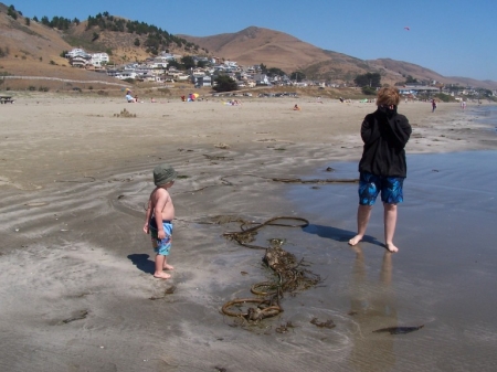 Brother & Sissy at the Beach