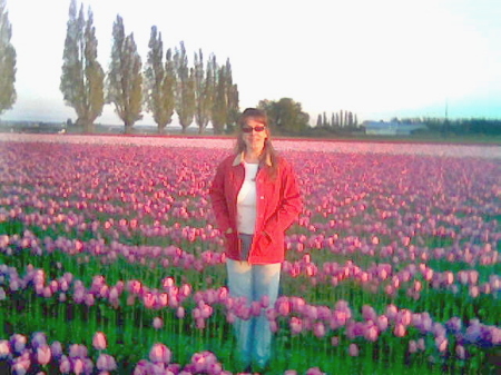 Skagit Valley Tulips 07