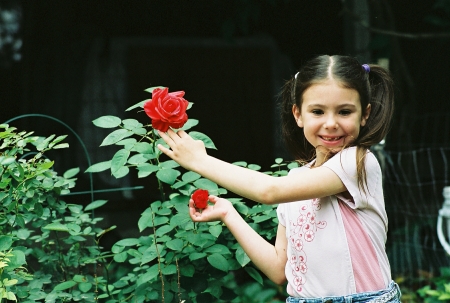my little girl and our roses