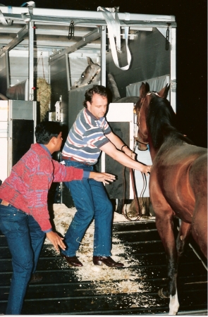 Unloading Horses