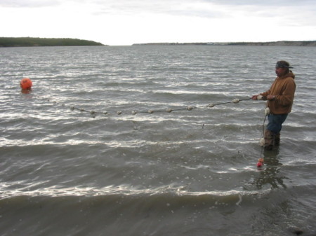 Fishing in my front yard