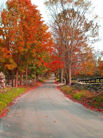 Autumn Lane