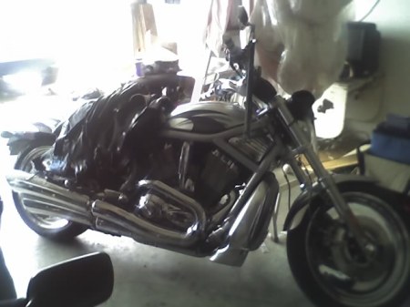 My V-Rod