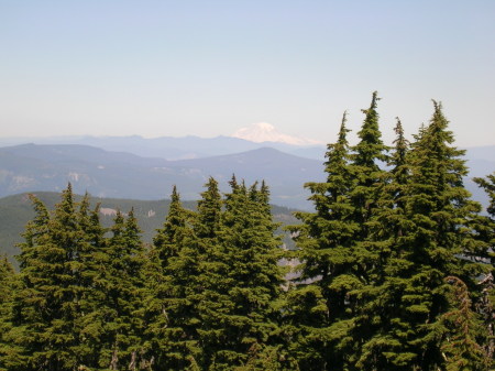 Alan MacDougall's album, Mt Hood, Cairn Basin Hike 7/10