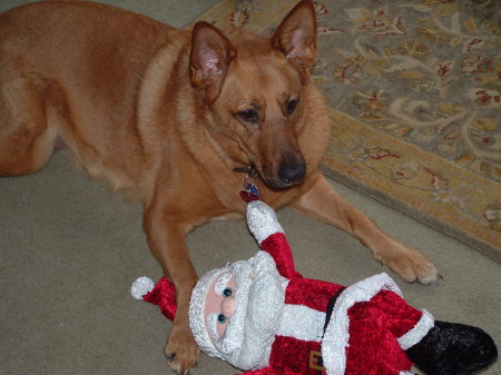 Sunny loving her Santa Claus!