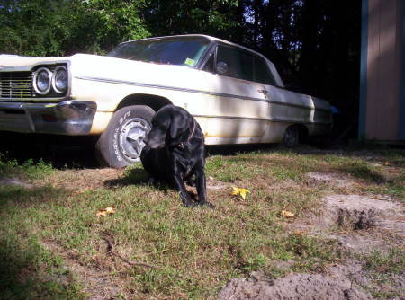 Our Dear Ole Daisy by the ole 64 Impala.