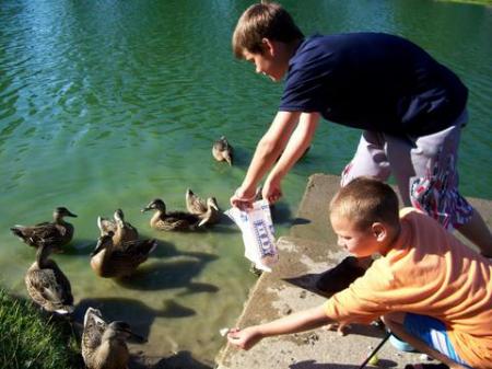 my 2 favorite guys - feeding the duckies