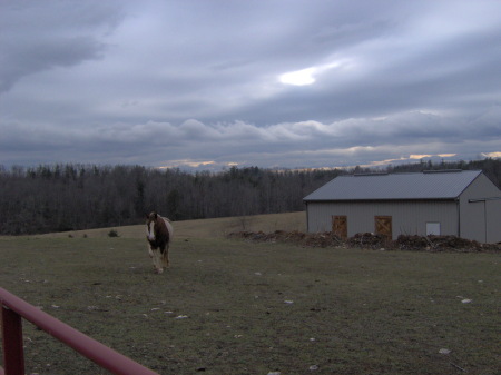 barn and Mickey