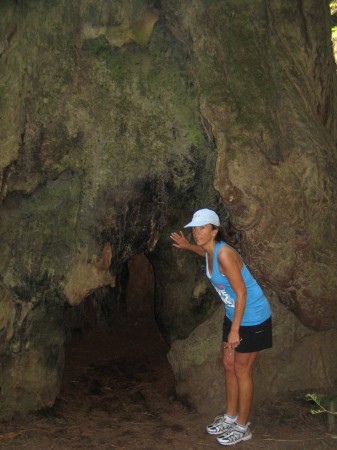 Running in the Redwoods