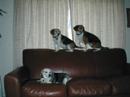 Kirby, Tucker & Brandy