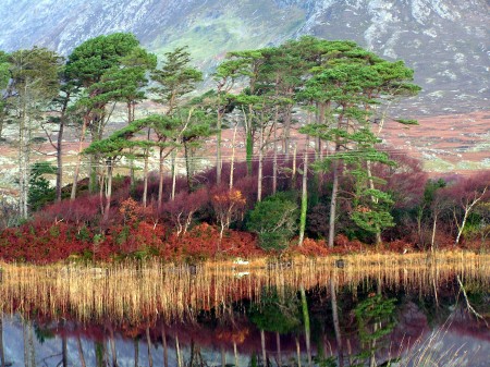 Connemara