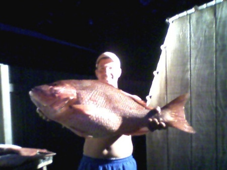 40 plus pound Red Snapper