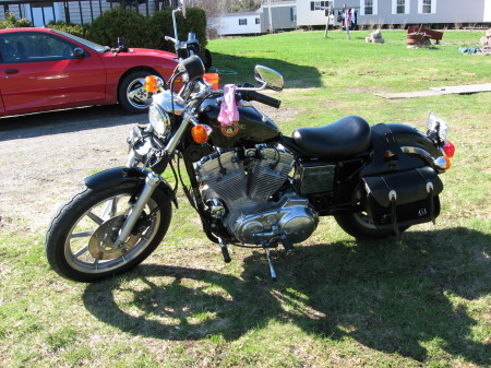 My 1993 883 Sportster Harley Davidson Hugger