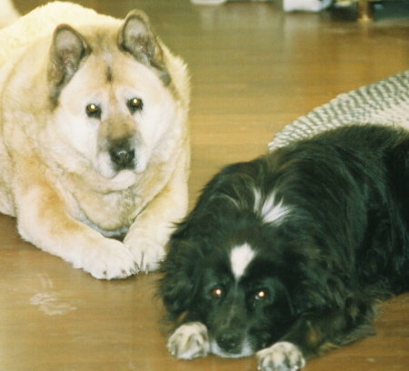 hill(2/95-3/09) and bud(3/90-12/07) best buds