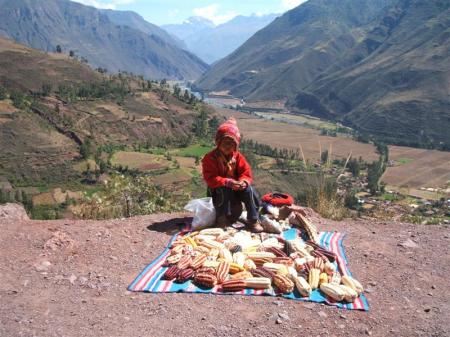 Salesman in the Sacred Valley, Peru