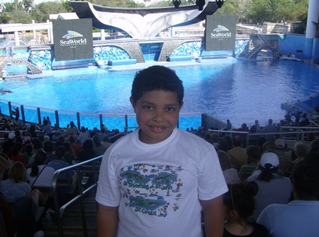 Sea World