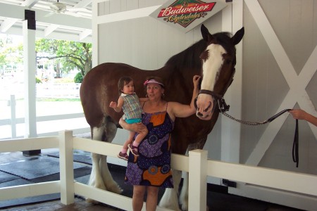 A Day at Busch Gardens