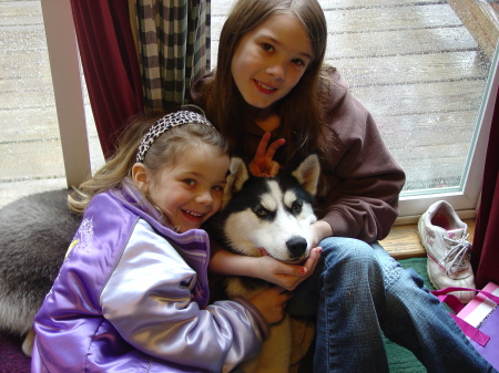 Awtumn , Aliyssa, & Kiche ( siberian husky)
