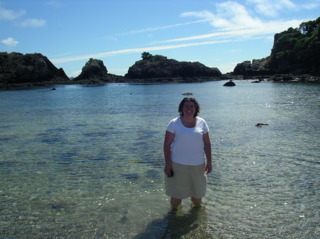 In the lagoon, New Zealand