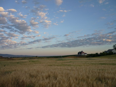 Idaho