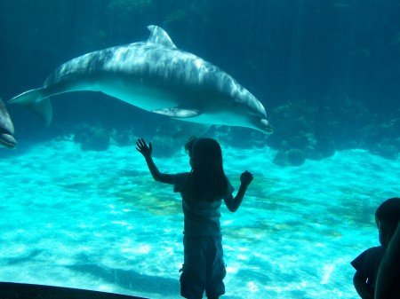 Juliana at Seaworld