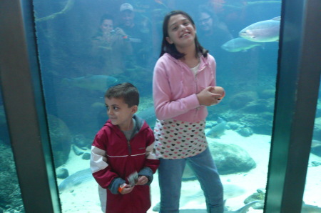 jolene and vince in front of acquarium