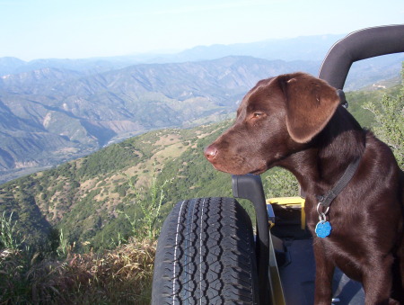 Jeep ride