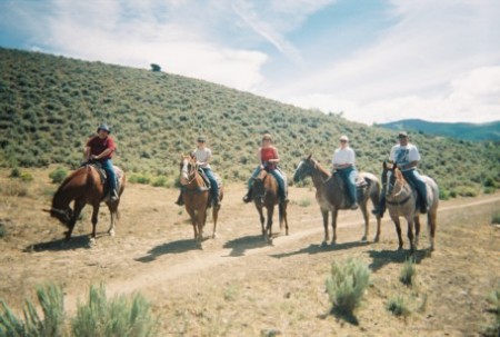 On the Cattle Drive in Colorado