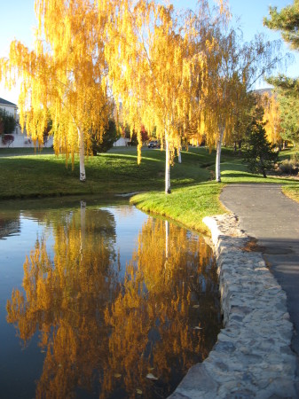 Reno, Nevada, in the Fall. Pretty nice!