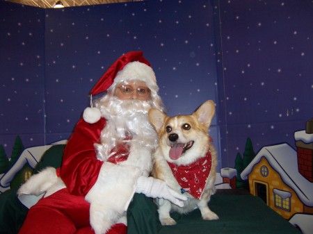 booboo and santa