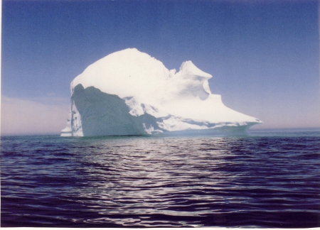 Iceberg in Fogo Harbour