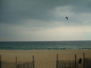 Storm rolling in