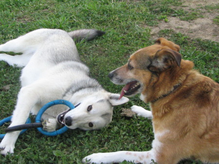 Rocky & Simone