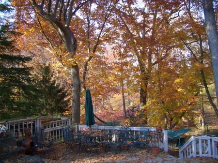 Back deck in the fall