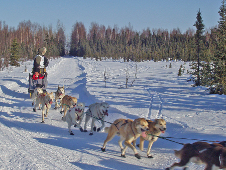2007 Iditarod