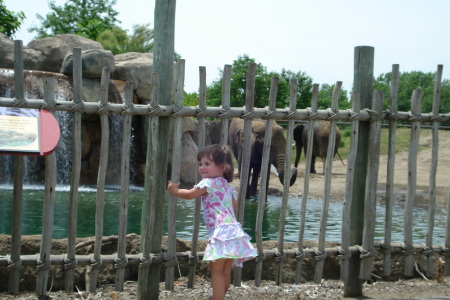 Carissa at the zoo